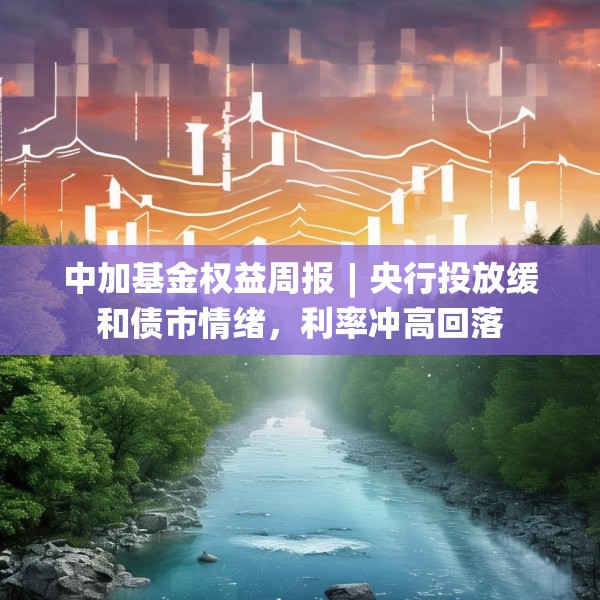 中加基金权益周报︱央行投放缓和债市情绪，利率冲高回落