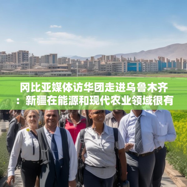 冈比亚媒体访华团走进乌鲁木齐：新疆在能源和现代农业领域很有借鉴意义