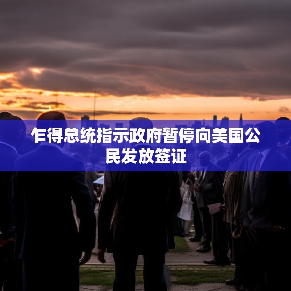 乍得总统指示政府暂停向美国公民发放签证