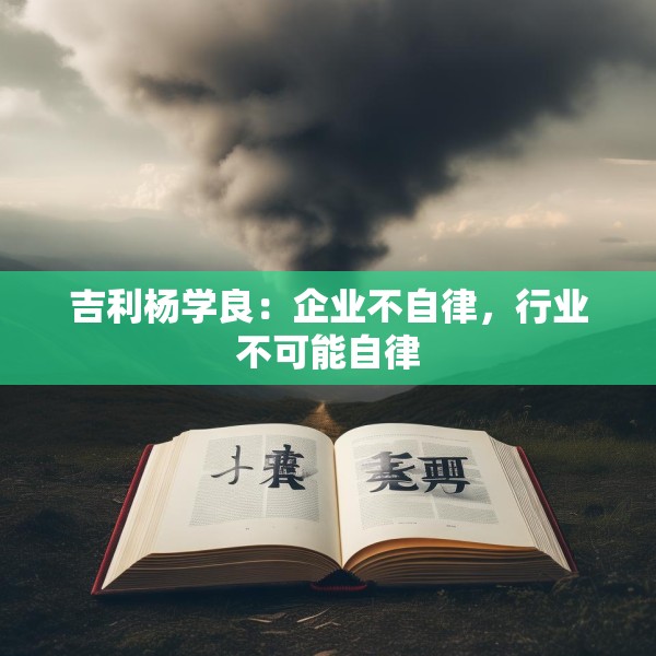 吉利杨学良：企业不自律，行业不可能自律