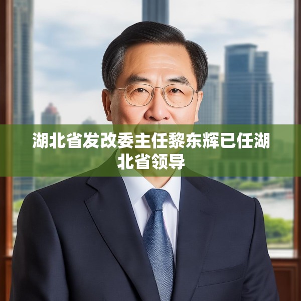 湖北省发改委主任黎东辉已任湖北省领导