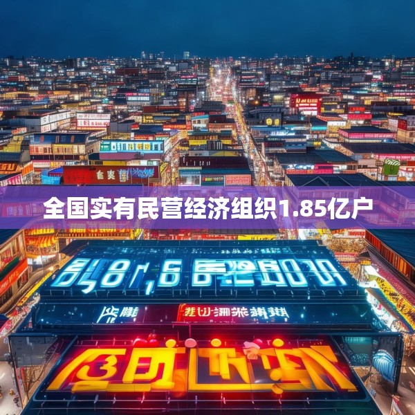全国实有民营经济组织1.85亿户