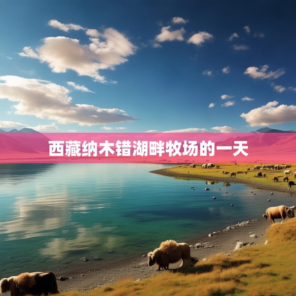 西藏纳木错湖畔牧场的一天
