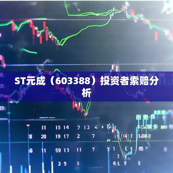 ST元成（603388）投资者索赔分析
