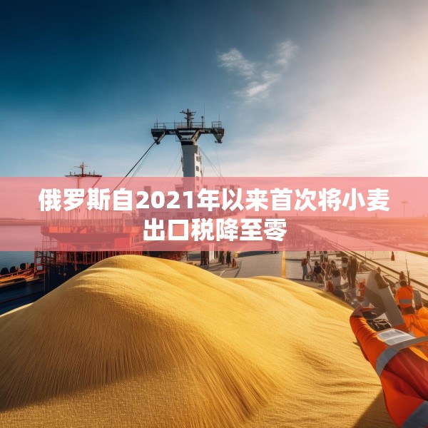 俄罗斯自2021年以来首次将小麦出口税降至零